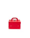 SOULJA BOY JEWELRY CASE