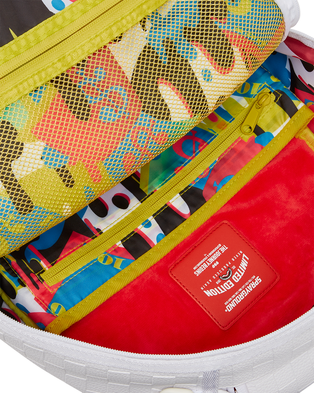 SHOW UP SHOW OUT BACKPACK (DLXV)