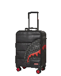 SNOWWSTORM PUFFER IMPERIAL CARRY-ON LUGGAGE