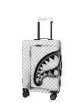 STORM FADE CARRY-ON LUGGAGE