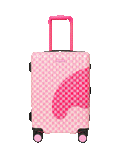 SUGAR DRIP CANDY BITE CARRY-ON LUGGAGE