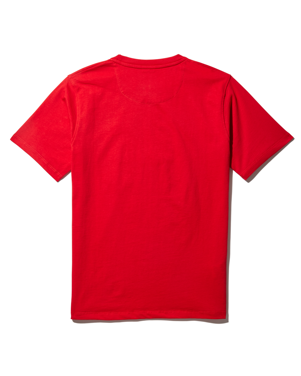 YOUTH ANATOMY BEAR T-SHIRT RED
